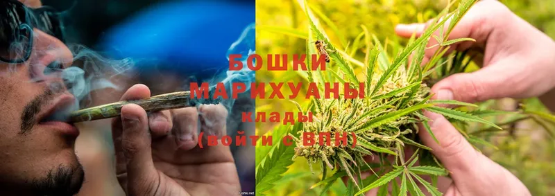 мориарти формула  Лиски  Бошки марихуана ГИДРОПОН 